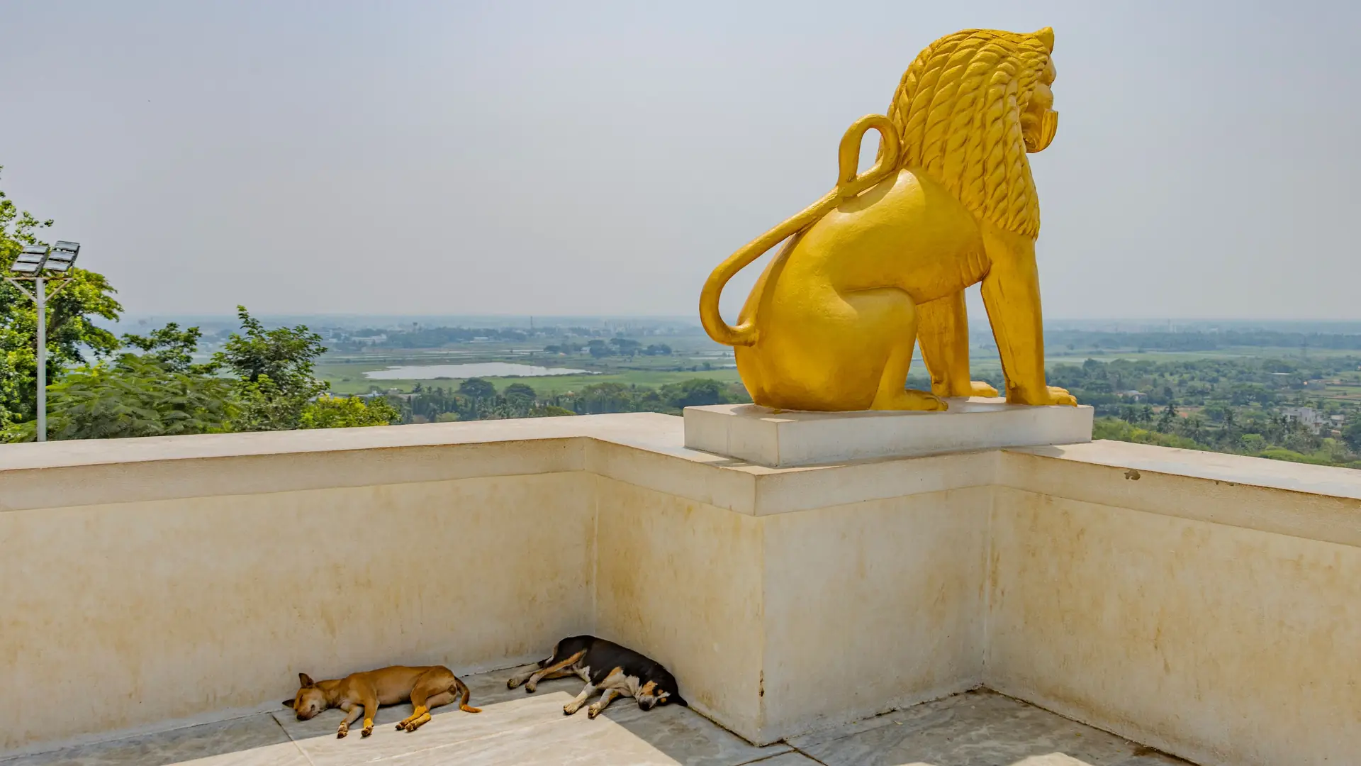 The golden lion at the Dhauli Shanti Stupa, Bhubaneswar