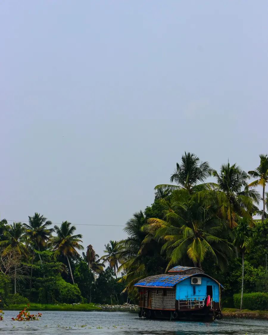 A houseboat under palm trees on the backwaters of Kerala