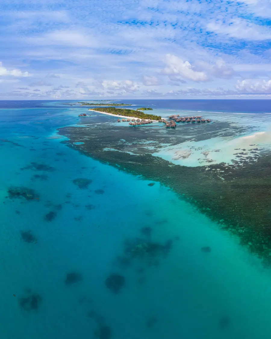 An island and its reef in the turquoise sea of the Maldives, from the air